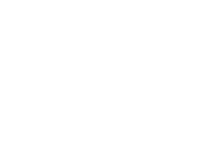 rashut logo grey